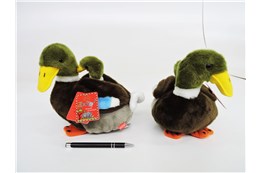*PLUSZ Kaczka krzyżówka z dzieckiem, 20 cm