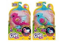 *AST. LLP PTASZEK - interak ćwier., mówi.,2 kol.3/