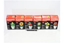 AST.KLOCKI SLUBAN x 6, kwiaty w doniczce, 6 wz.