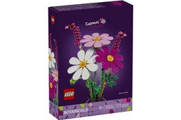 LEGO Botanicals Kosmosy  171 el.