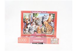 *CAS. PUZZLE 2000 el. Koci dom