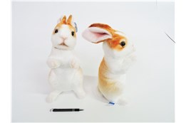 *PLUSZ królik, 30 cm