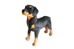 PLUSZ Pies rotweiller stoj. 65cm