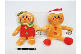 AST. PLUSZ ciasteczka, 25 cm, 2 wz.