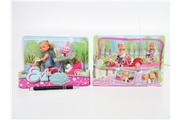 *EVI na rowerze z przyczepką i psem