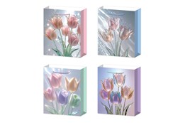 AST. TORBA x 12, PREZENT. tulipany, 41.5x30x12