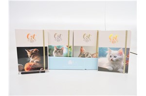 AST. NOTES x 24 A5, koty, 4 wz.,  displ.
