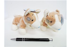 PLUSZ Przyjaciel niebieskiego noska CORGI Queenie