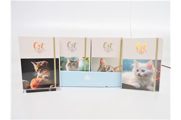 AST. NOTES x 24 A5, koty, 4 wz.,  displ.