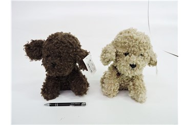 AST. PLUSZ PIES, pudel 25 cm, siedzący, 2 wz.
