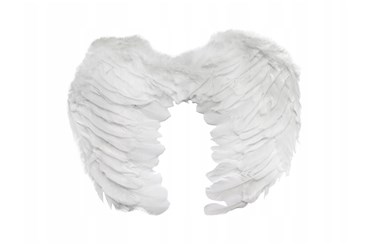 SKRZYDŁA ANIELSKIE  PIÓRKOWE 60x45