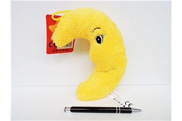 *PLUSZ Księżyc 20 cm