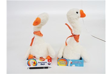 *DUMEL PLUSZ ZWARIOWANA GĘŚ, inter.,  kart.