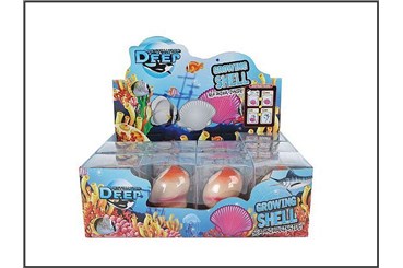 MUSZLA x 12 z zwierzętami, rosnące, 6 cm,   displ.