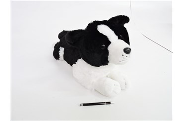 *PLUSZ PIES Border Collie, 60 cm, leżący