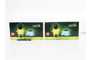 LEGO BOTANICAL 217 el. Wesołe Roślinki