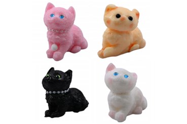 AST. GNIOTEK x 16, kotek,   displ