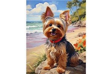 MOZAIKA d. DIAMENTOWA, 40x30 cm, Pies York