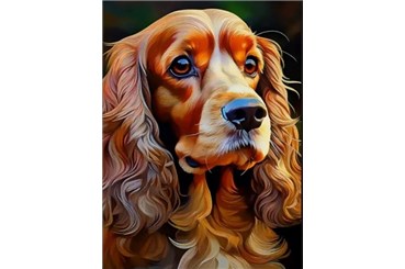 *MALOWANIE po nr. 40x50 cm, Pies Cocker Spaniel