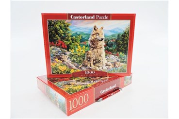 *CAS. PUZZLE 1000 el. Nowe pokolenie