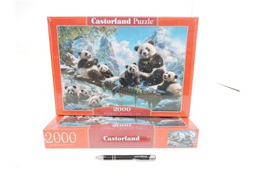 *CAS. PUZZLE 2000 el. Pandy w zimie