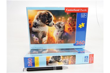 CAS. PUZZLE 260 el. Nowa przyjaźń
