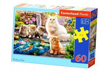 CAS. PUZZLE 60 el. Perfect Day, koty
