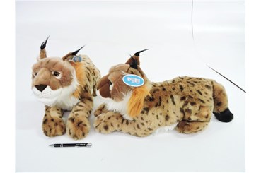 *PLUSZ RYŚ, 50 cm, leżący