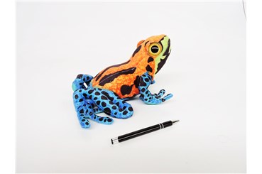 *PLUSZ żaba, 30 cm, kolorowa