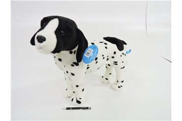 *PLUSZ pies, 45 cm, angielski pointer, stojący