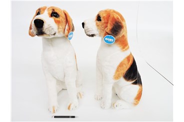 *PLUSZ pies Beagle, siedzący 65 cm