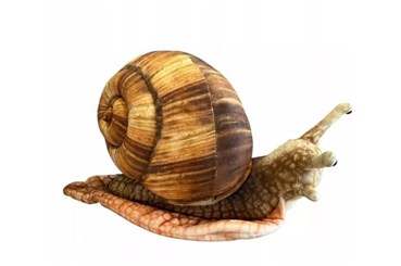 *PLUSZOWY Ślimak 35cm