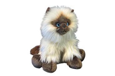 PLUSZ kot, 28 cm, syjamski, siedzący