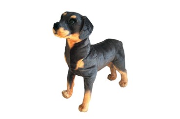 *PLUSZ Pies rotweiller stoj. 65cm