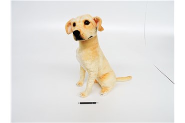 *PLUSZ pies, 66 cm, Labrador, siedzący