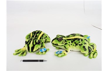 PLUSZ żaba, 28 cm, zielona
