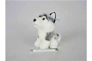 *PLUSZ pies, 19 cm, husky
