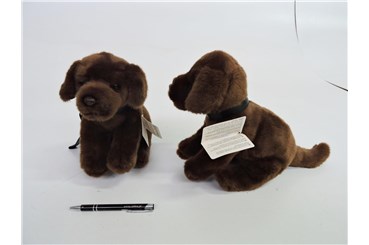 PLUSZ pies labrador, brąz., ze smyczą, 26 cm