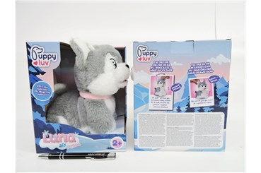 PUPPY LUV inter., piesek, JUNIOR LUNA