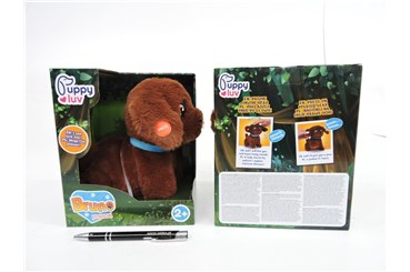 PUPPY LUV inter., piesek, JUNIOR BRUNO