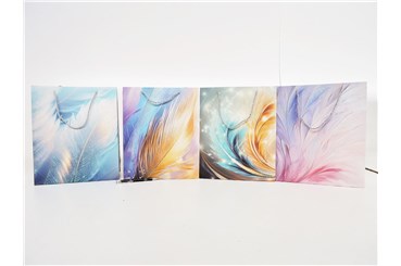 AST. TORBA x 12 PREZENT. 32x26x12 cm, pióra