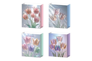 AST. TORBA x 12, PREZENT. tulipany, 41.5x30x12