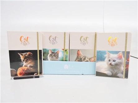 AST. NOTES x 24 A5, koty, 4 wz.,  displ.