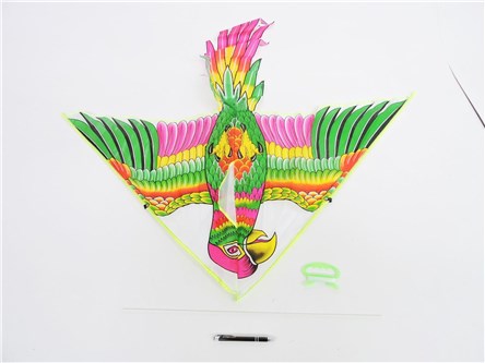 LATAWIEC PTAK z ogonem, 130x130 cm,           fol.