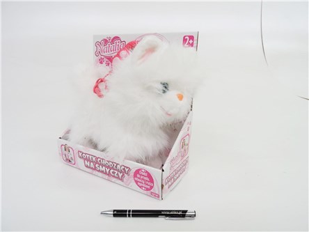 KOT NATALIA, chodzący na smyczy, biały