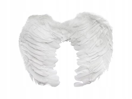 SKRZYDŁA ANIELSKIE  PIÓRKOWE 60x45