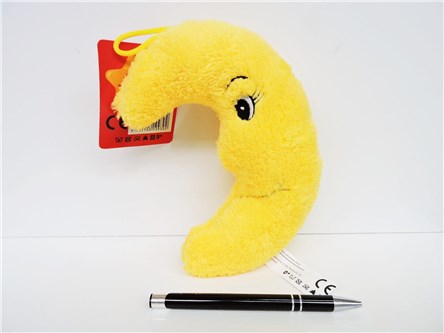 *PLUSZ Księżyc 20 cm