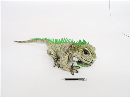 PLUSZ LEGWAN, 90 cm
