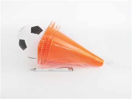 ZESTAW TRENINGOWY PACHOŁKI Z PIŁKĄ,     sia.