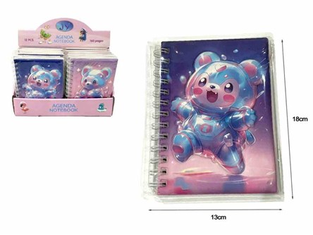 AST. NOTES x 12, misie,   displ